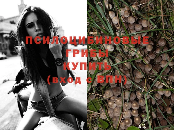 a pvp Абаза