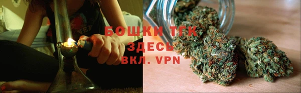 сатива Абинск