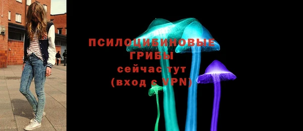 сатива Абинск