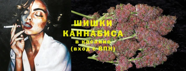 a pvp Абаза
