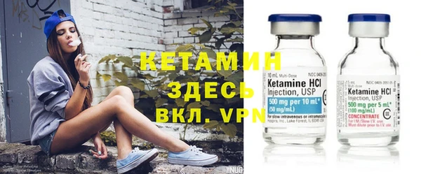 сатива Абинск