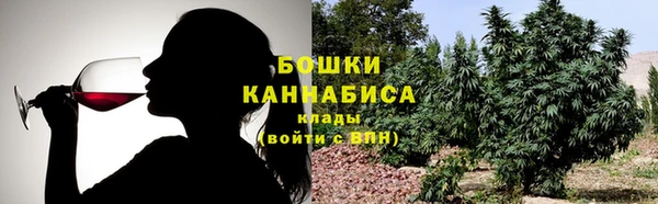 сатива Абинск