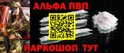 спайс Кингисепп