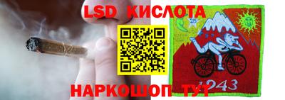 спиды Кинель