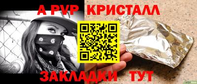 спайс Кингисепп