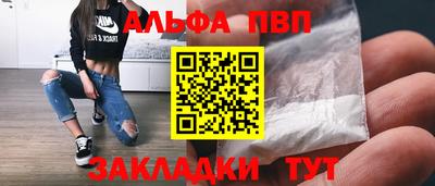 спайс Кингисепп