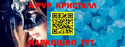 спайс Кингисепп