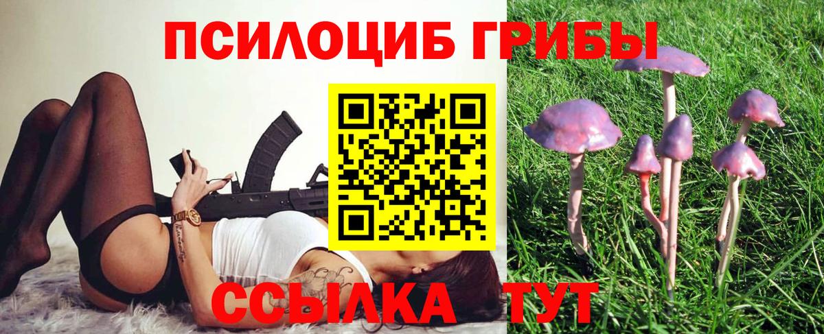 Кисловодск  Псилоцибиновые грибы ЛСД  Вход с VPN 